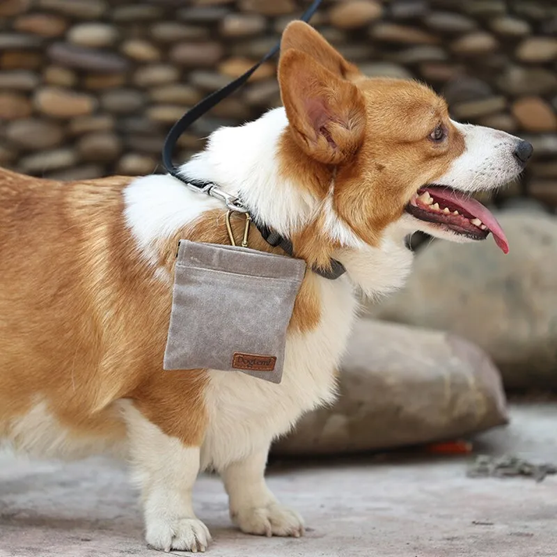 Dog Treat Bag