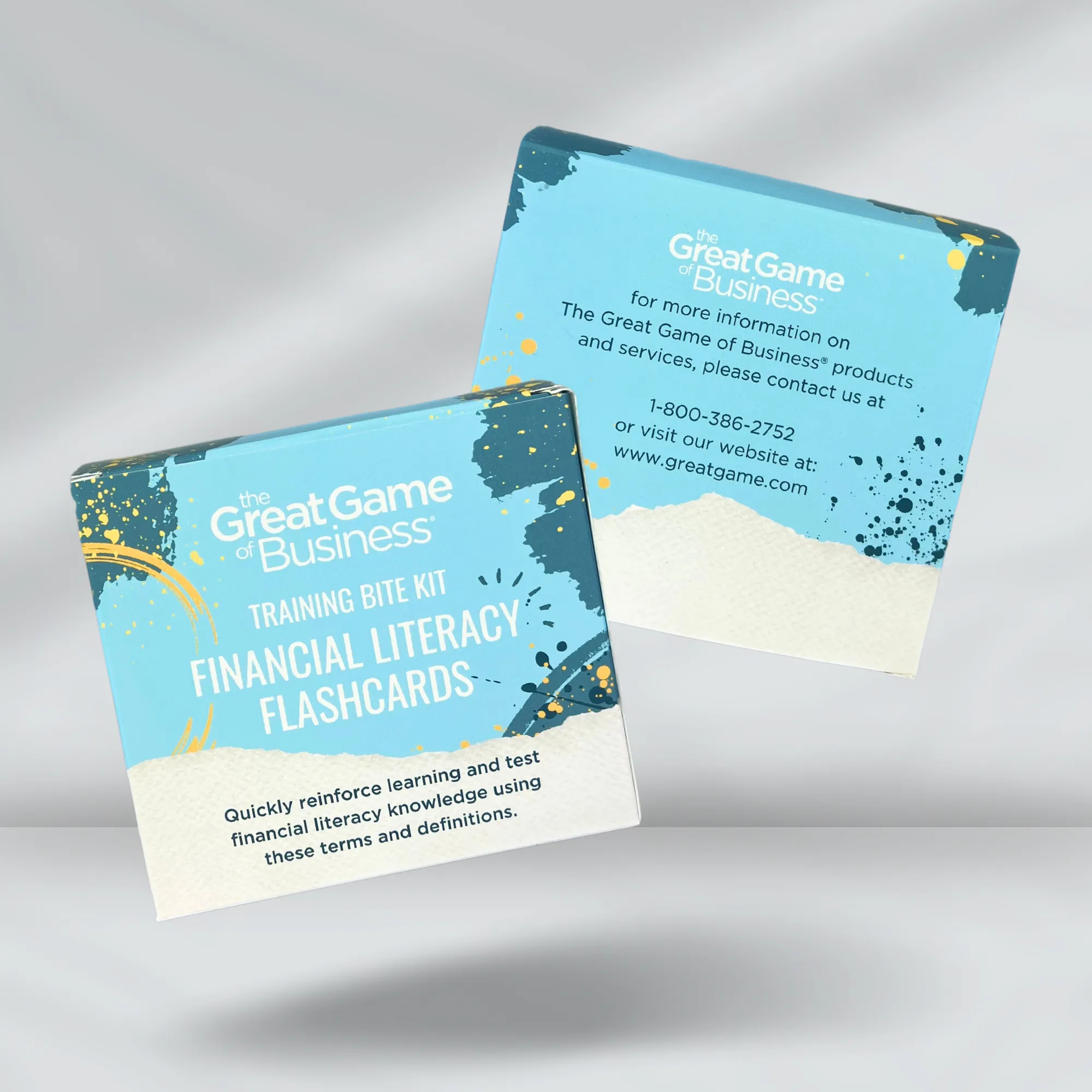 Financial Literacy Flashcards - Training Bite Kit