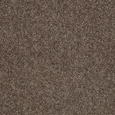 Full Court 12' Residential Carpet