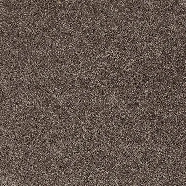 Full Court 12' Residential Carpet