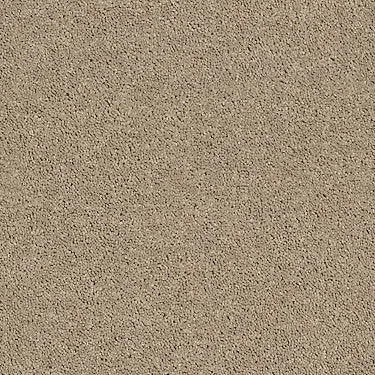 Full Court 12' Residential Carpet