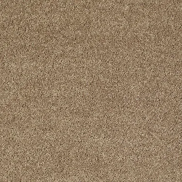 Full Court 12' Residential Carpet