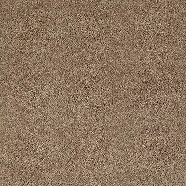 Full Court 12' Residential Carpet