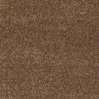 Full Court 12' Residential Carpet