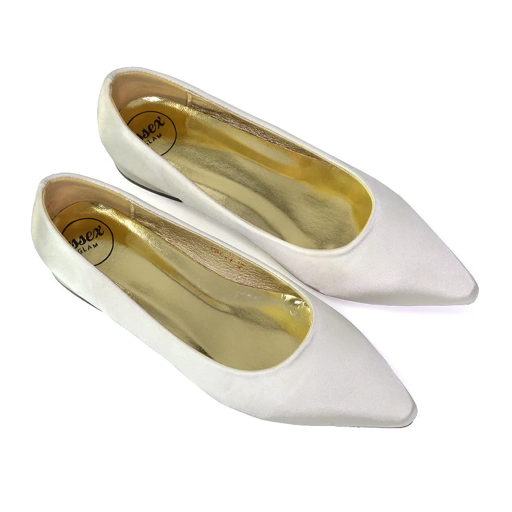 Karen Slip On Pointed Toe Wedding Shoes Low Heel Bridal Heels Court Shoes in Silver