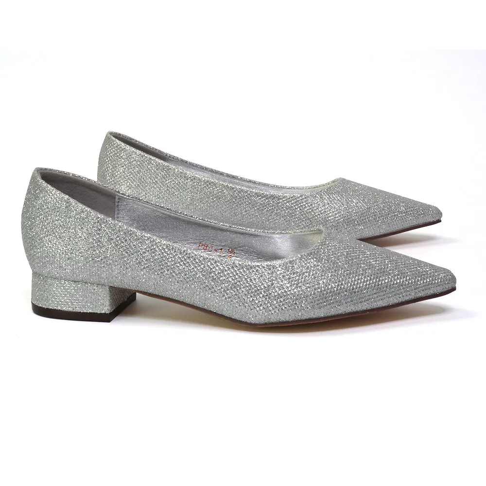 Karen Slip On Pointed Toe Wedding Shoes Low Heel Bridal Heels Court Shoes in Silver