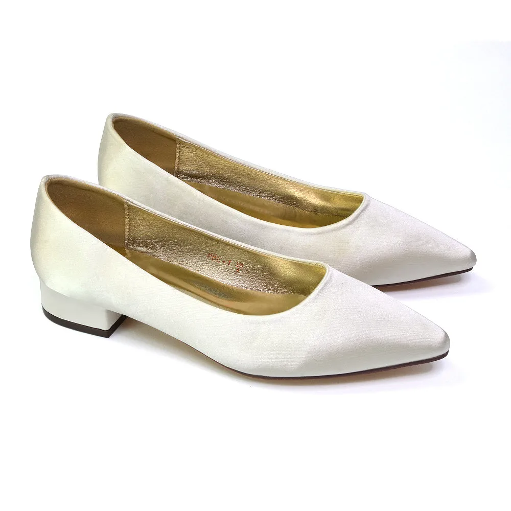 Karen Slip On Pointed Toe Wedding Shoes Low Heel Bridal Heels Court Shoes in Silver