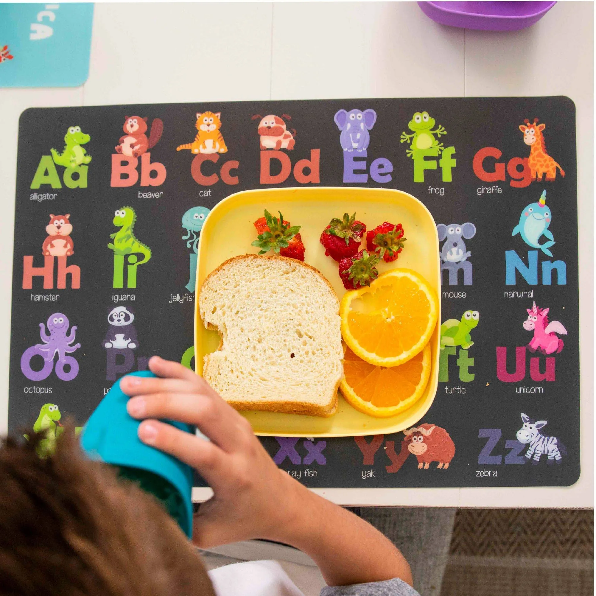 Reusable Educational Placemats (6 Pieces)