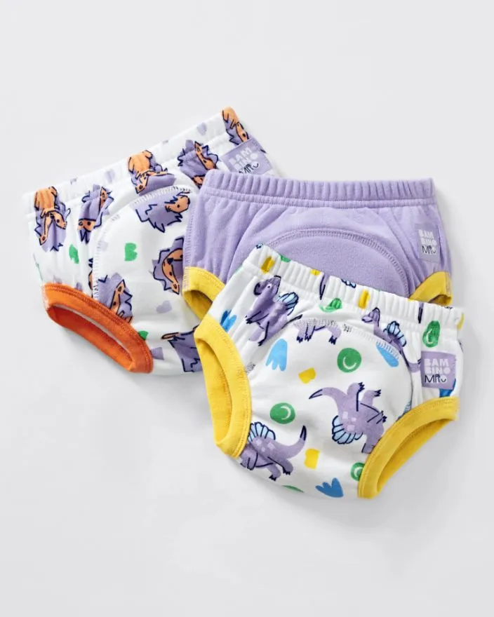 Revolutionary Reusable potty training pants, 3 pack